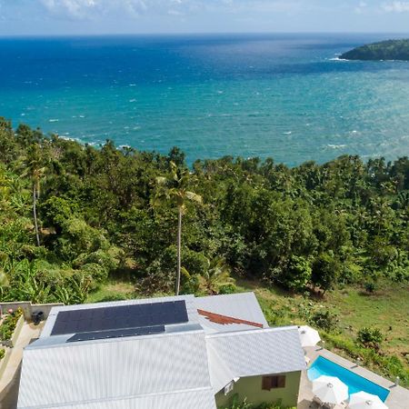 Pagua Bay House - Oceanfront Cabana'S Marigot Bagian luar foto