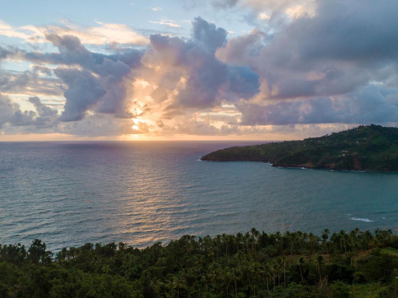 Pagua Bay House - Oceanfront Cabana'S Marigot Bagian luar foto