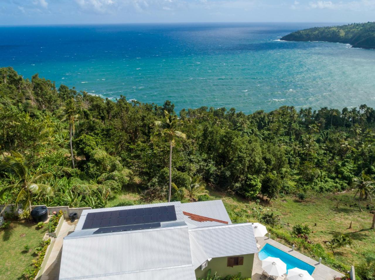 Pagua Bay House - Oceanfront Cabana'S Marigot Bagian luar foto